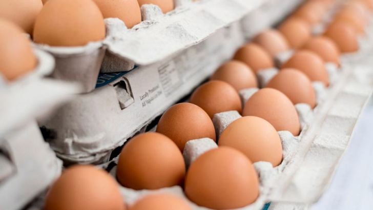 Price of eggs to be reduced