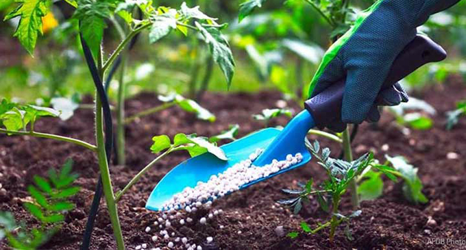 Govt. temporarily suspends organic fertilizer importation
