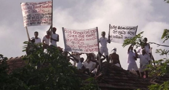 Welikada prison inmates start rooftop protest again Welikada prison inmates start rooftop protest again