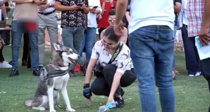 A Festival for Animals Protection in Sulaymaniyah [VIDEO]