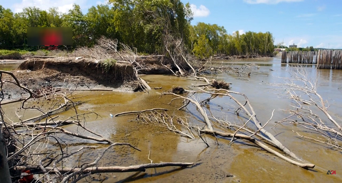 Coastlines erosion and receding in Thailand [VIDEO]