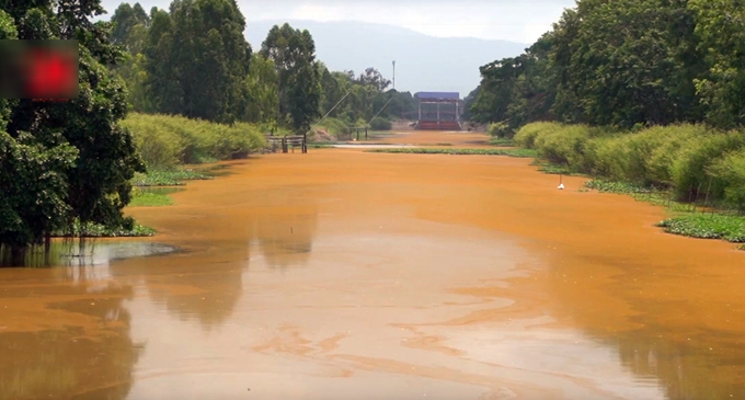 Pesticides and chemicals turn the Nakhon Nayok Canal yellow [VIDEO]