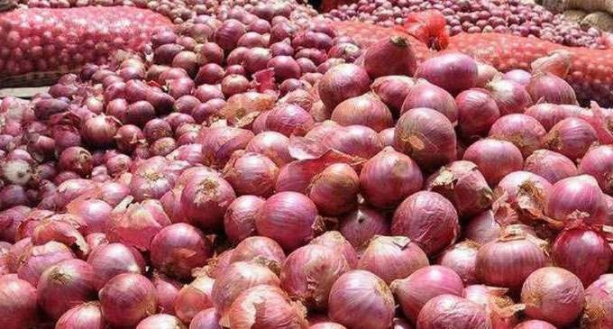 Govt. increases import levy on big onions