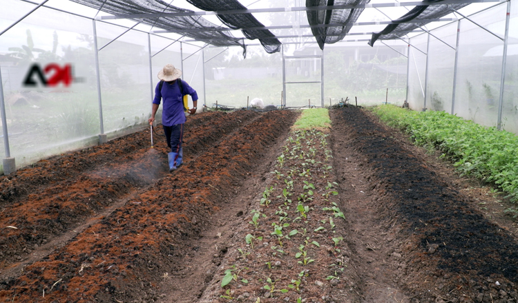 Smart Farm Agricultural tech contributes to Thai economy