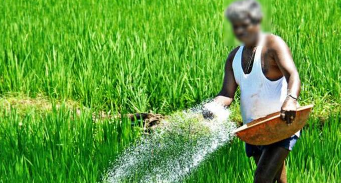 Approval granted for several private companies to import chemical fertilizers