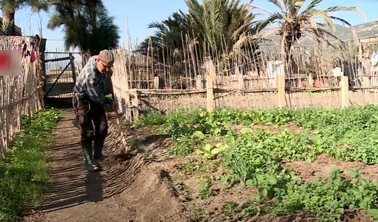 Ghar el Melh town, a distinctive agricultural experiment in seawater irrigation