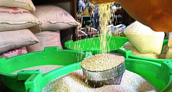 Govt to import 300,000 metric tons of rice