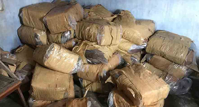 STF arrests a man with smuggled explosives