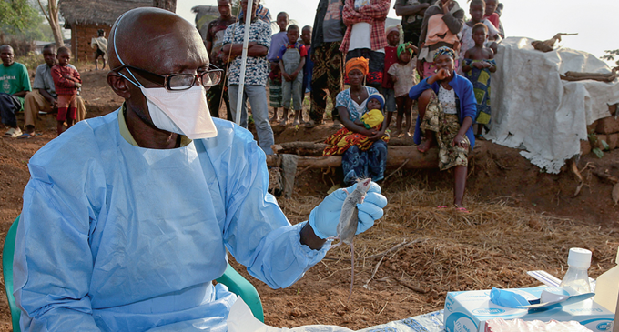 Lassa Fever Kills 80 In Nigeria