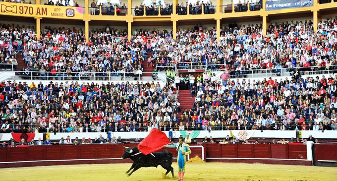 Several die as Colombian bullfight stand collapses