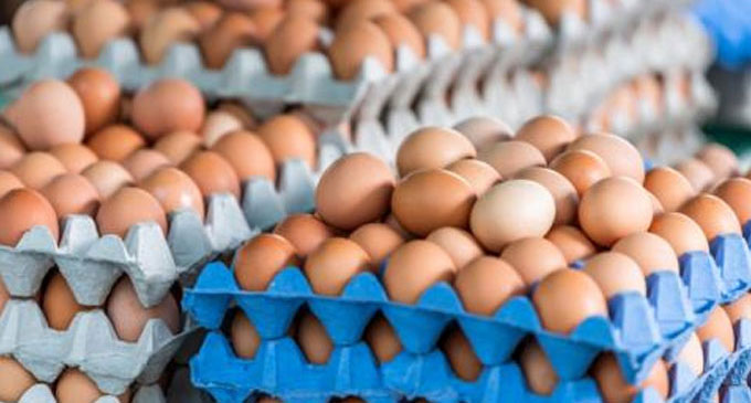 Egg price revision within two weeks