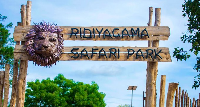 Another section of the Ridiyagama Safari Park to open on the 4th of October